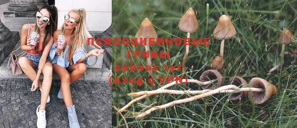 сатива Аркадак