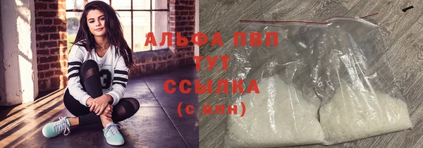 сатива Аркадак