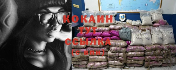 сатива Аркадак