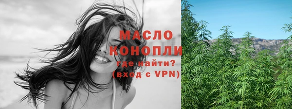 сатива Аркадак
