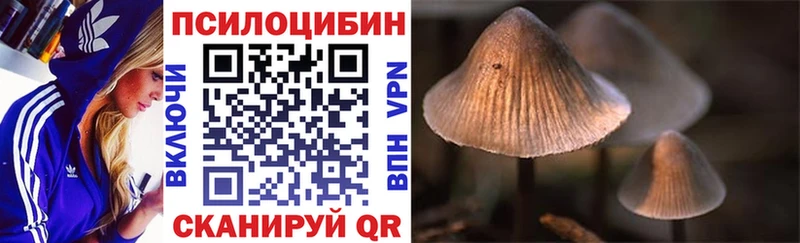 Псилоцибиновые грибы мухоморы  Урус-Мартан 